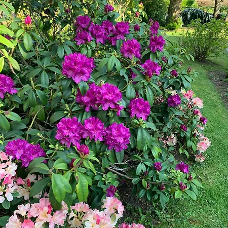 ベッド・アンド・ブレックファスト La Des Rosiers Cricquebœuf