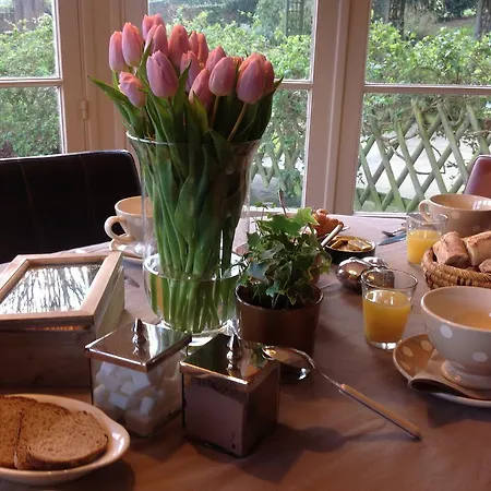 Bed and breakfast La Des Rosiers