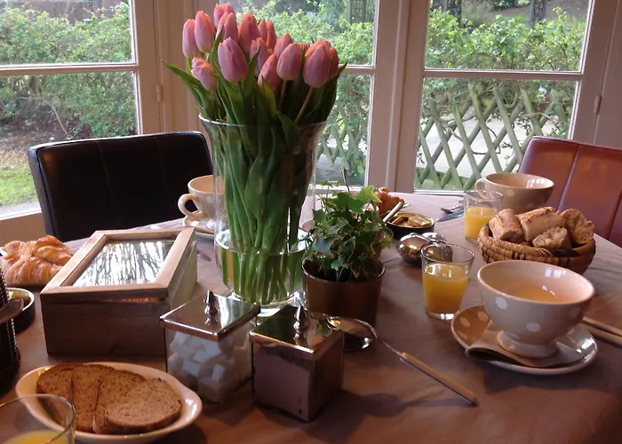 Bed & Breakfast La Des Rosiers